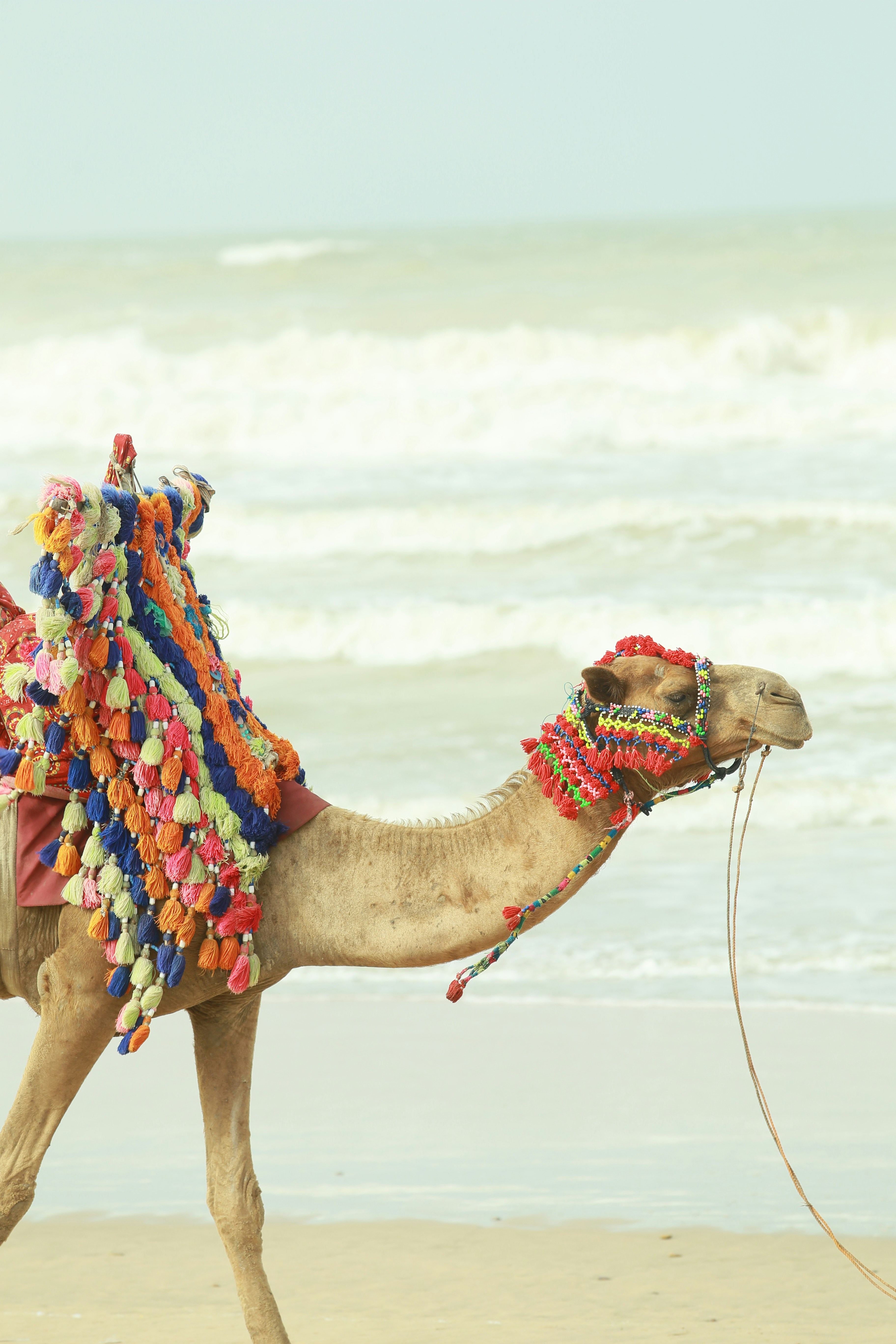Foto Karachi 14